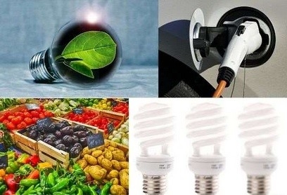Kombination von 4 Bilder: Glühbirne mit Blatt, LAdestecker Elektrofahrzeug, Kästen mit Obst- und Gemüse, Energiesparlampe