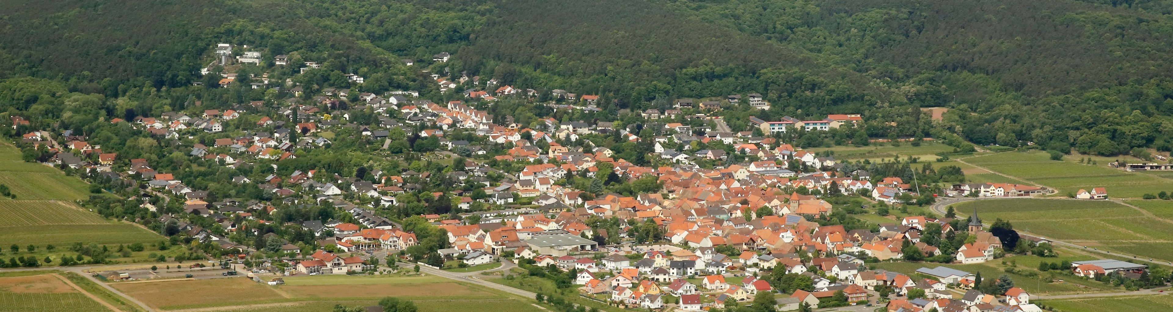wetter weisenheim am berg 7 tage