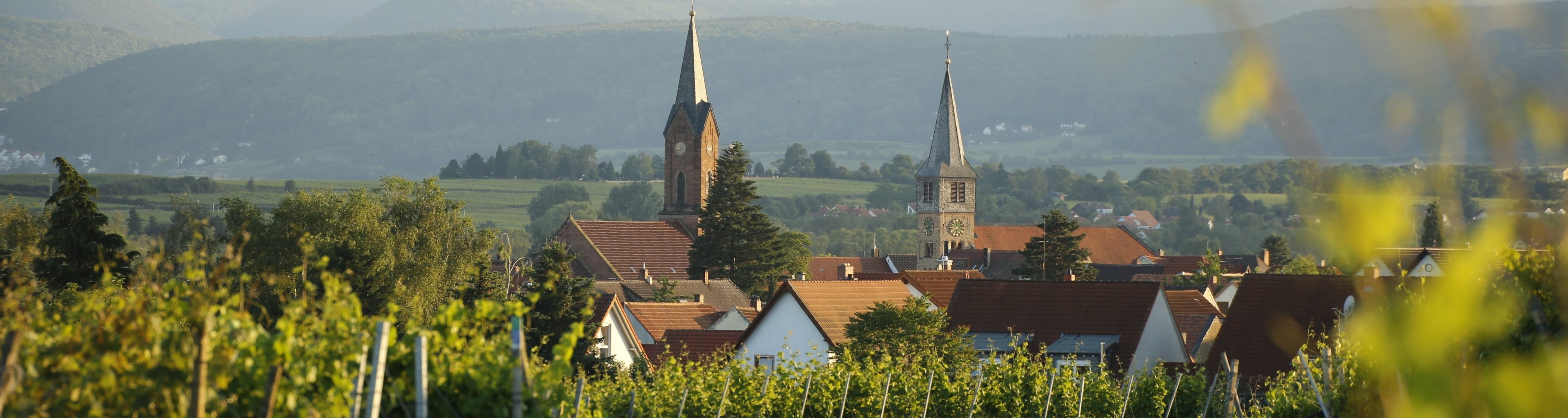 Weisenheim am Sand Verbandsgemeinde Freinsheim